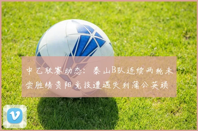 中乙联赛动态：泰山B队连续两轮未尝胜绩贵阳竞技遭遇失利蒲公英顽强战平